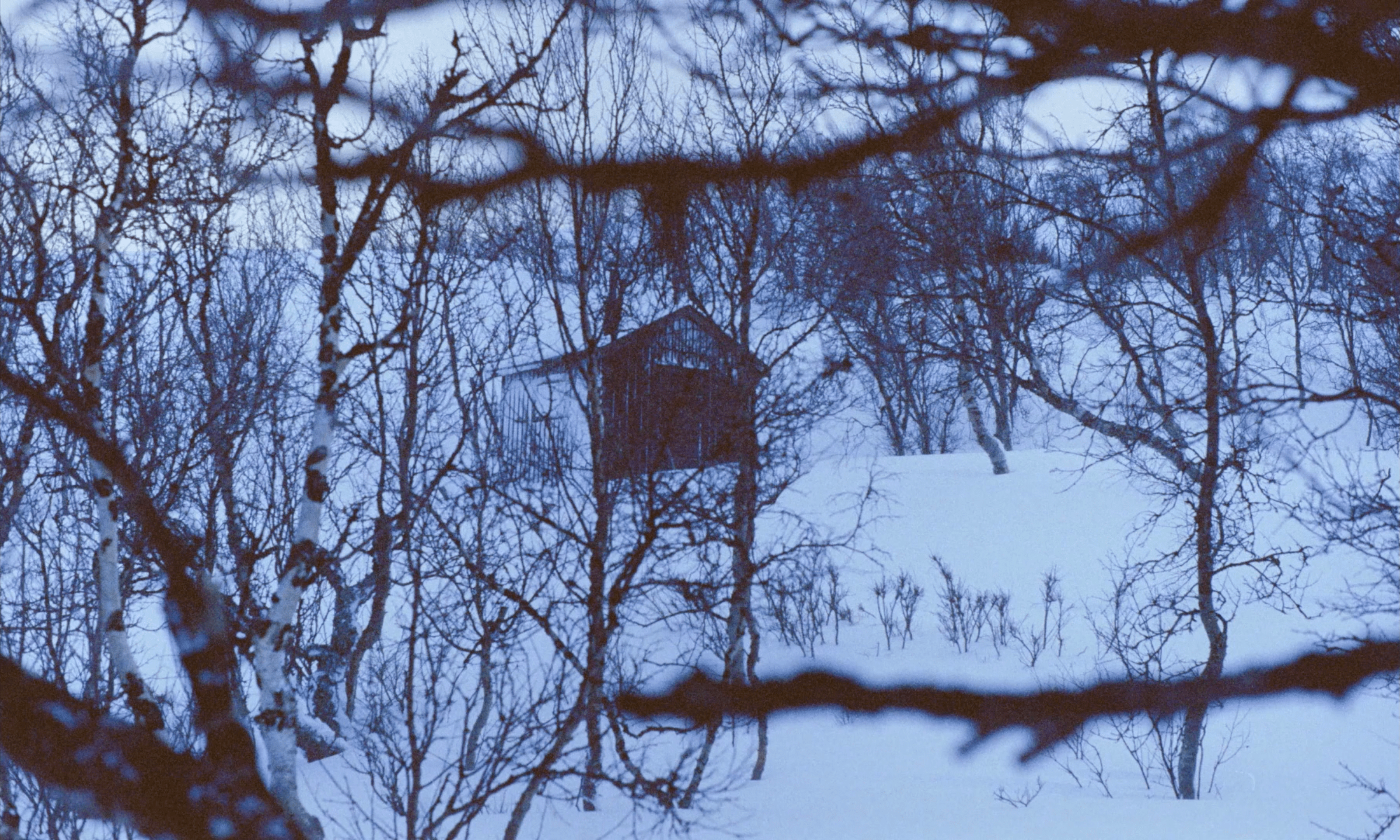 CABANE PhotoPrincipale (1)